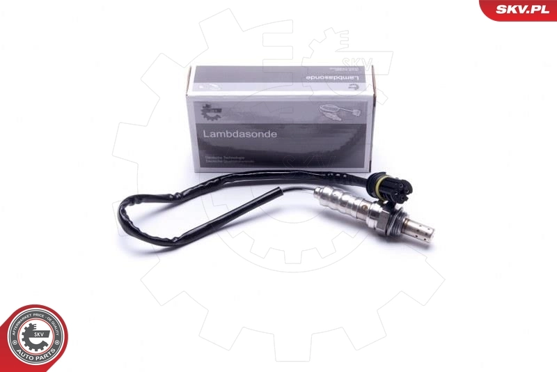 Oxygen Sensor
